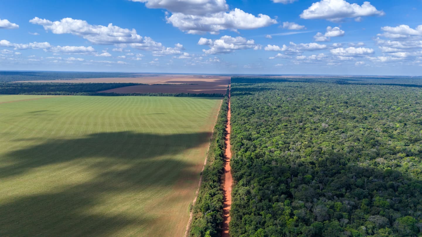 Agricultura e floresta em Mato Grosso, a convivência entre o agronegócio e a natureza